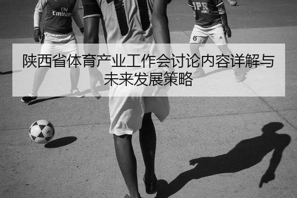 陕西省体育产业工作会讨论内容详解与未来发展策略